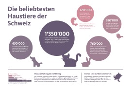 Infografik Aufzaehlung Illustration