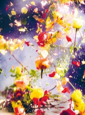 jahresbericht sik-isea