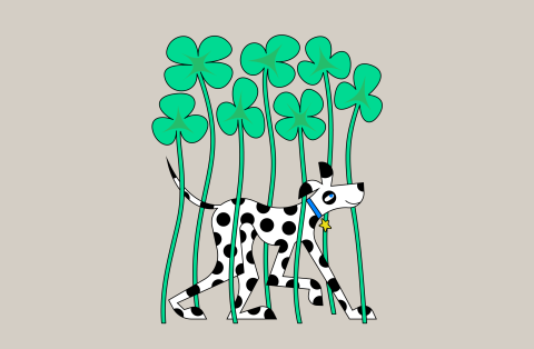 Kanton Aargau Kampagne Gemeinden