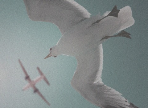 Nachhaltige Kommunikation