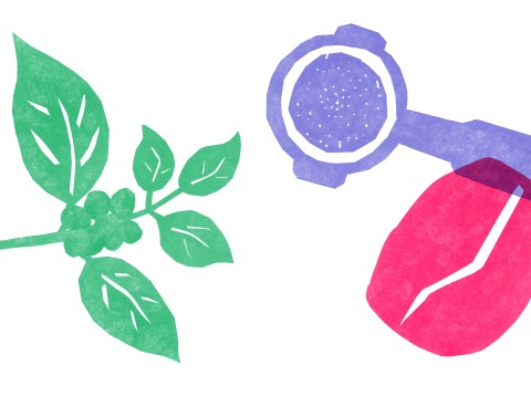 Illustration Coffee Excellence Center